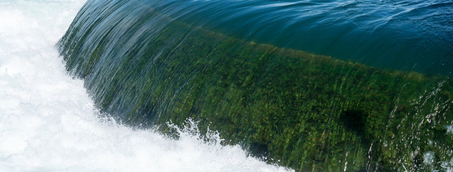 Are You Living in the Overflow?