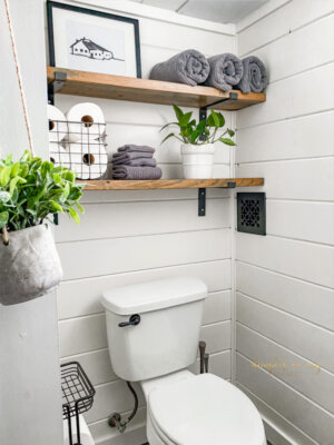 A Custom Basement Bathroom Renovation on a Budget - dimplesonmywhat