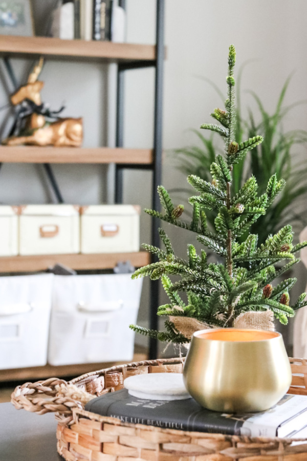 Easy steps to take to create a simplified Christmas decor without looking like the Grinch stole your Chirstmas. 

#naturalchristmasdecor #greenandgoldchristmasdecor #simplechristmasdecor #naturalelementschristmasdecor #modernfarmhousechristmasdecor #christmasdecor #christmasdecorideas