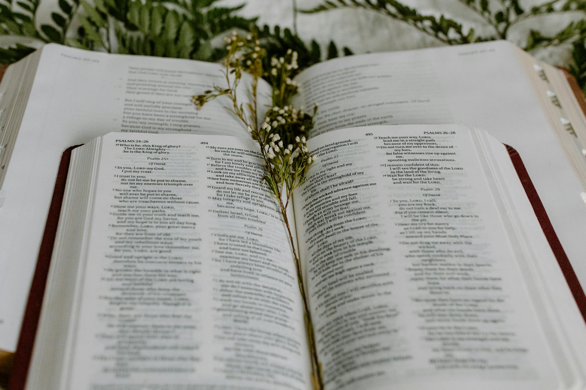 white flowers and leaves on an open book